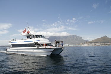 Crucero a motor por la costa de Ciudad del Cabo